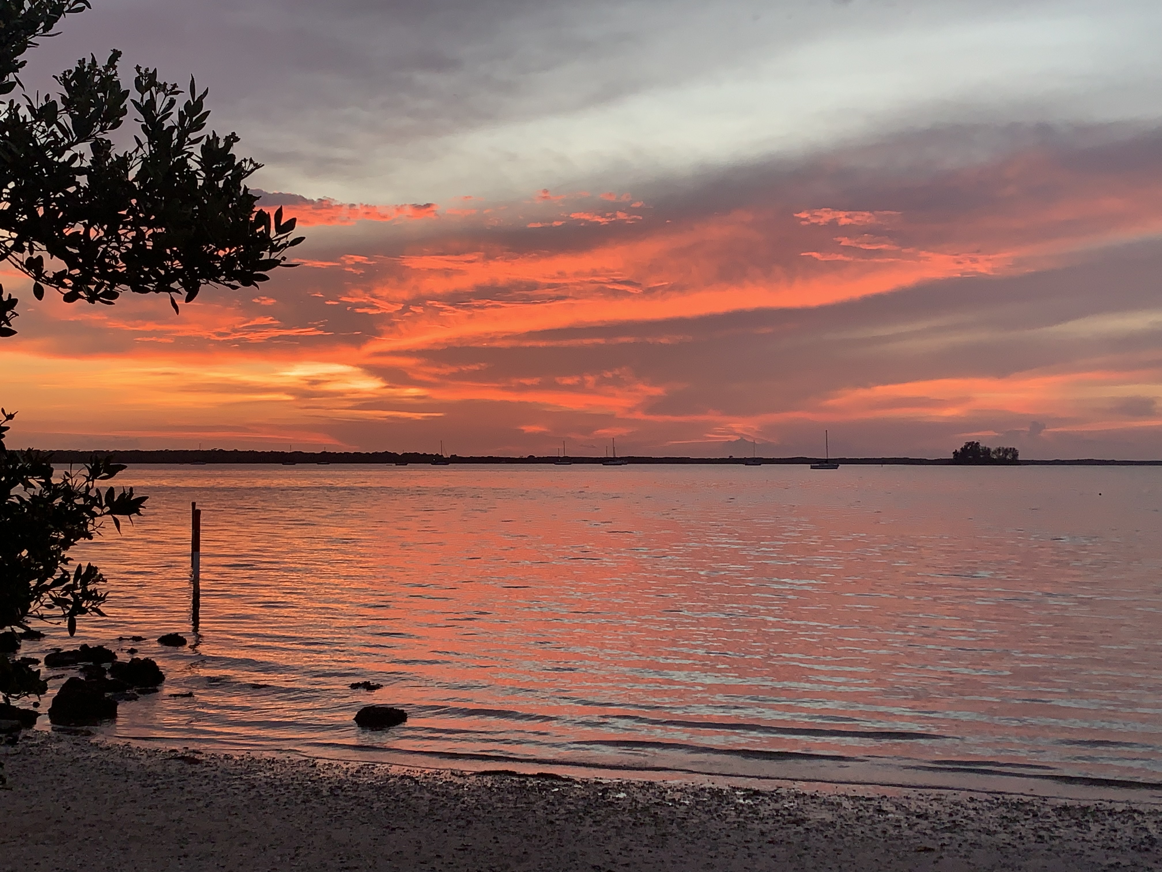 Dunedin Vacastion Rental VRBO AirBNB Hotel