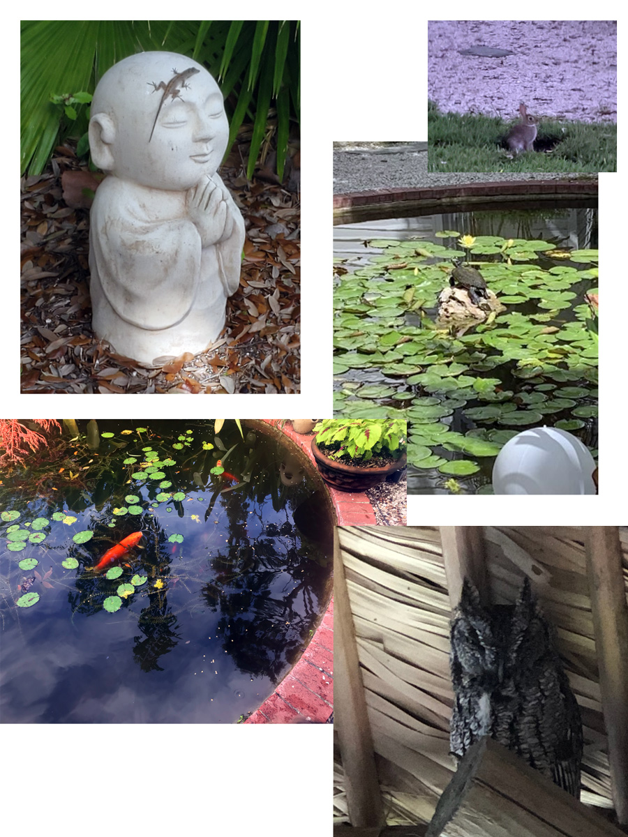 Dunedin Vacastion Rental VRBO AirBNB Hotel