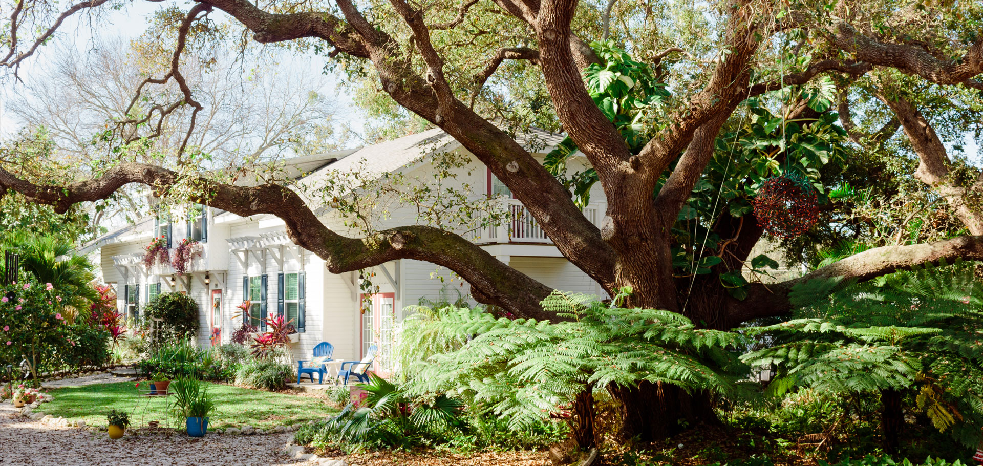 Dunedin Vacastion Rental VRBO AirBNB Hotel