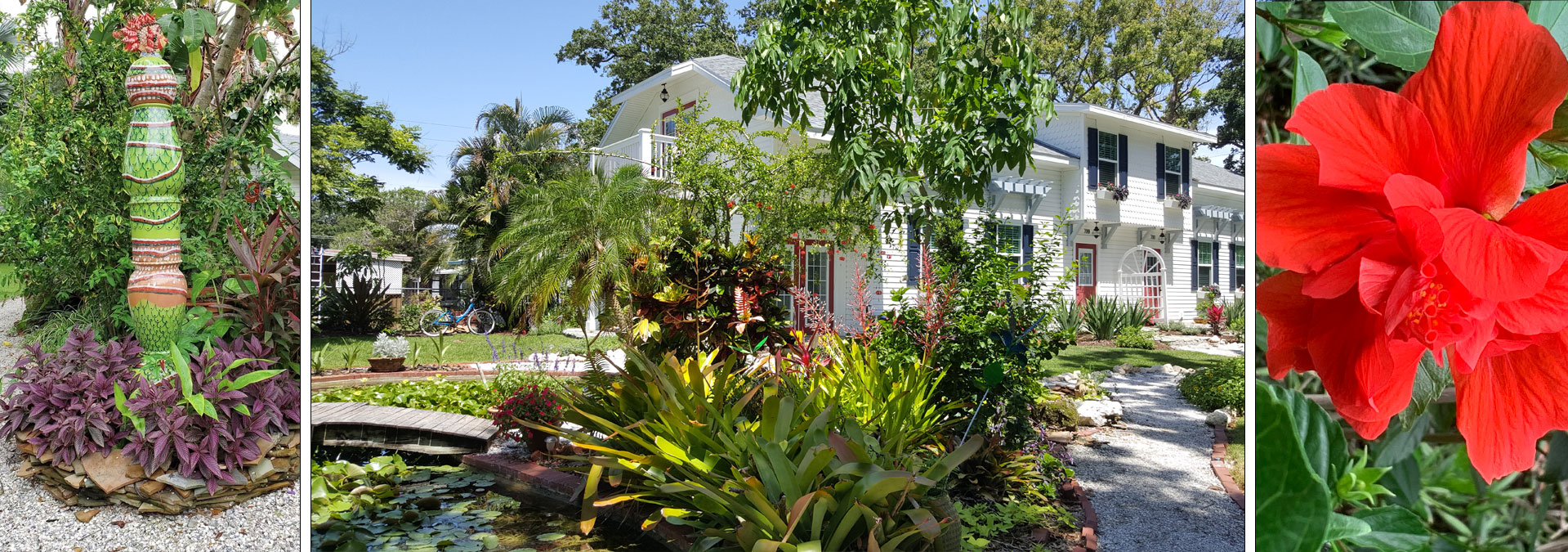 Dunedin Vacastion Rental VRBO AirBNB Hotel