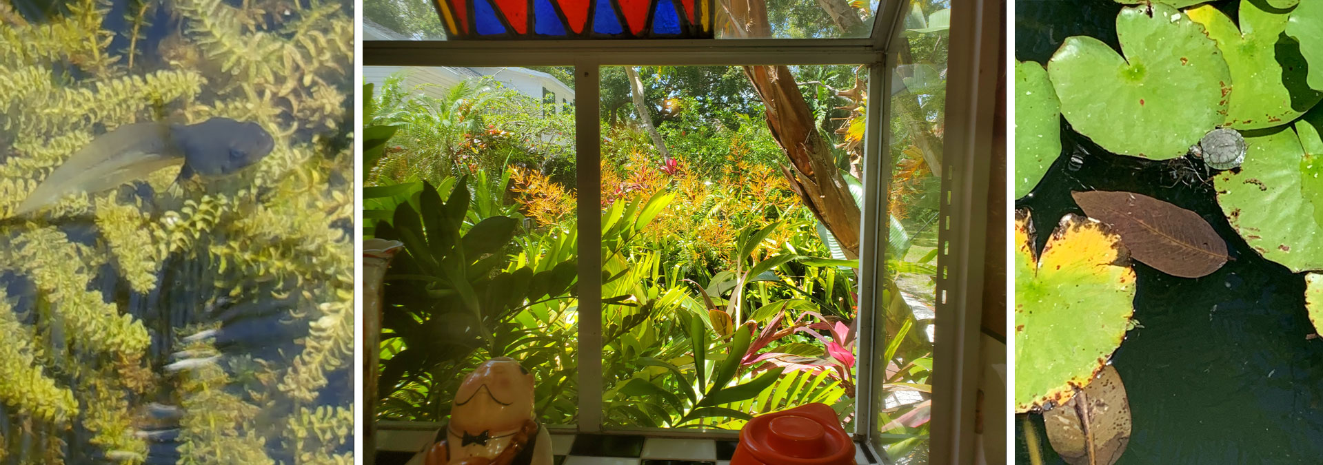 Dunedin Vacastion Rental VRBO AirBNB Hotel
