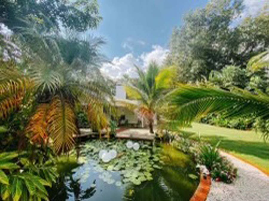 Dunedin Vacastion Rental VRBO AirBNB Hotel