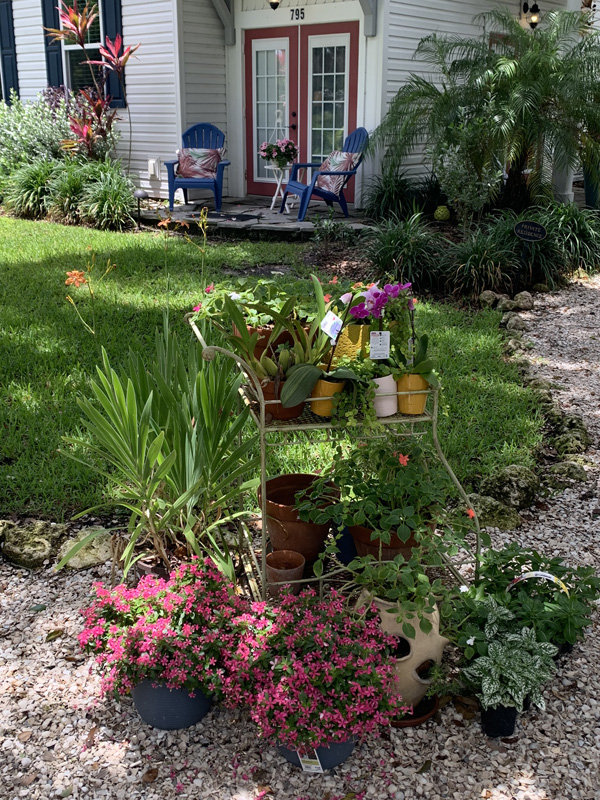 Dunedin Vacastion Rental VRBO AirBNB Hotel